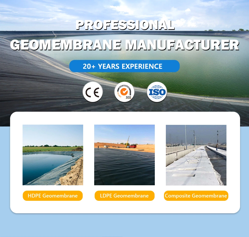 China Composite Geomembrane Manufacturer for Water Conservancy/Chemical Industry/Construction/Transportation/Subway/Tunnel/Garbage Disposal/Tunnel Railway